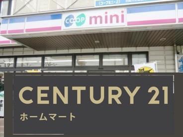 新築戸建 NEW一戸建て常松１（甲東園駅） 4680万円・4780万円の詳細情報 兵庫県尼崎市常松１ 写真21 センチュリー21ホームマート