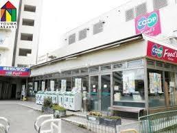 新築戸建 一戸建てFIRST - TOWN 神戸市垂水区神陵台 第２９期 全２邸の詳細情報 兵庫県神戸市垂水区神陵台７ 写真24 センチュリー21ホームマート